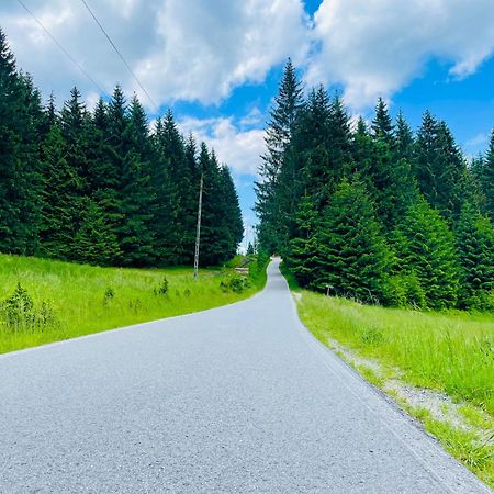 Gorska Cisza - Duzy, Komfortowy, Wyjatkowy Apartament Stronie Śląskie Екстериор снимка
