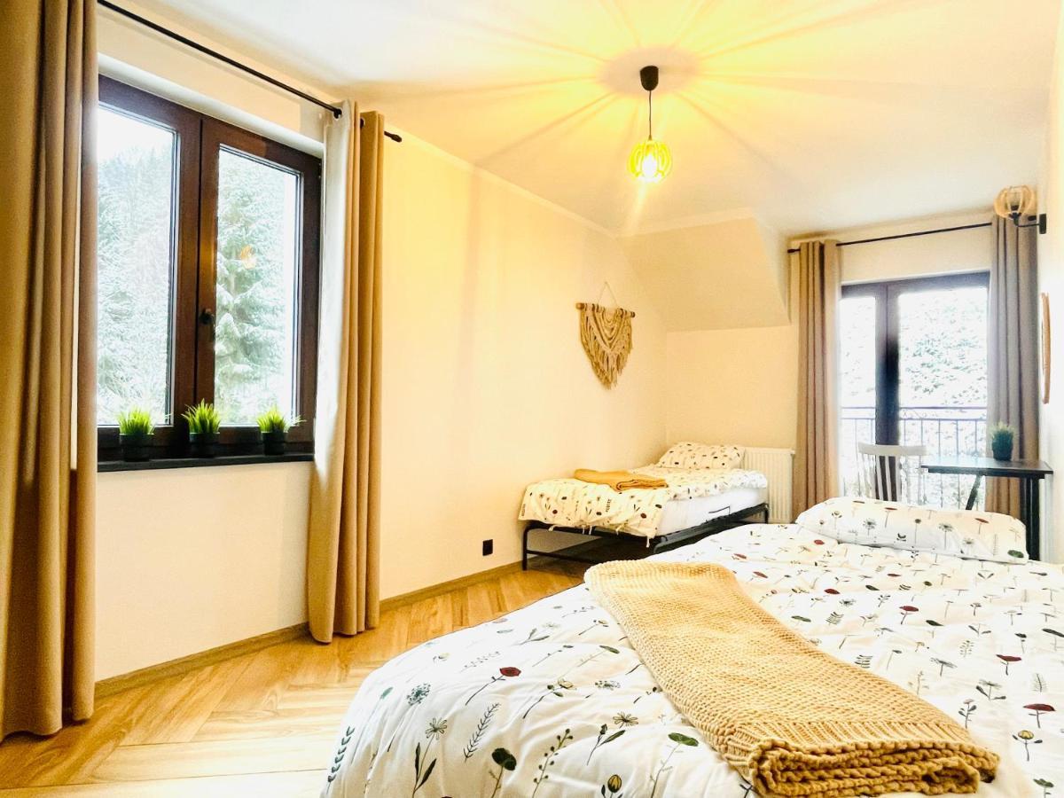 Gorska Cisza - Duzy, Komfortowy, Wyjatkowy Apartament Stronie Śląskie Екстериор снимка