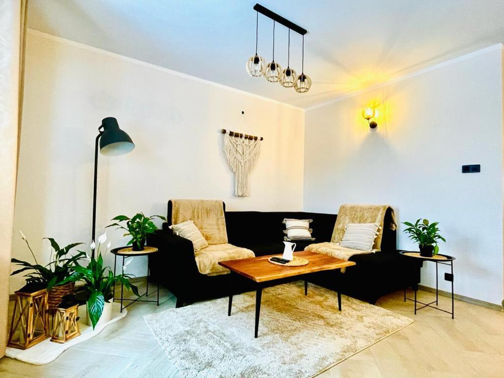 Gorska Cisza - Duzy, Komfortowy, Wyjatkowy Apartament Stronie Śląskie Екстериор снимка