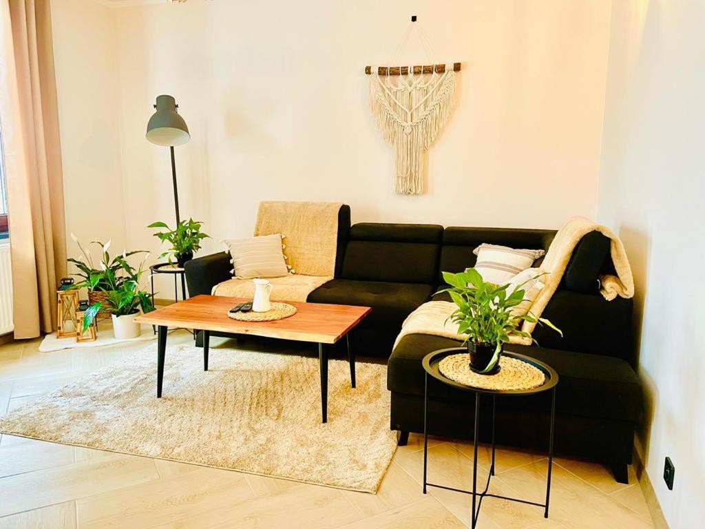 Gorska Cisza - Duzy, Komfortowy, Wyjatkowy Apartament Stronie Śląskie Екстериор снимка