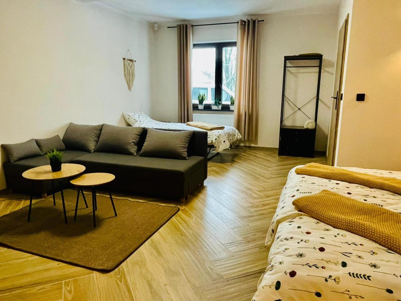 Gorska Cisza - Duzy, Komfortowy, Wyjatkowy Apartament Stronie Śląskie Екстериор снимка