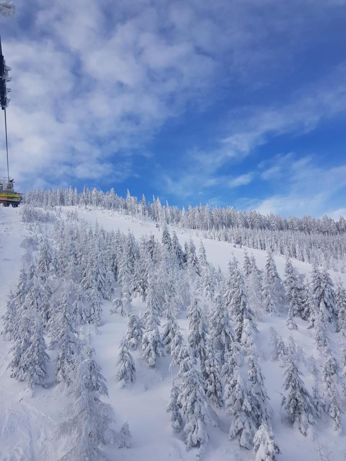 Gorska Cisza - Duzy, Komfortowy, Wyjatkowy Apartament Stronie Śląskie Екстериор снимка
